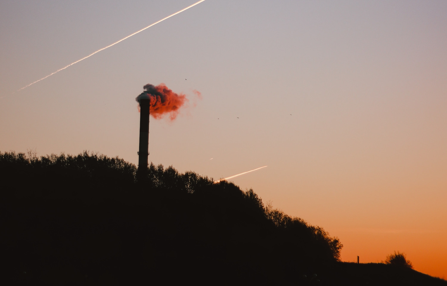 Rauch aus einem Kamin bei Morgend&auml;mmerung
